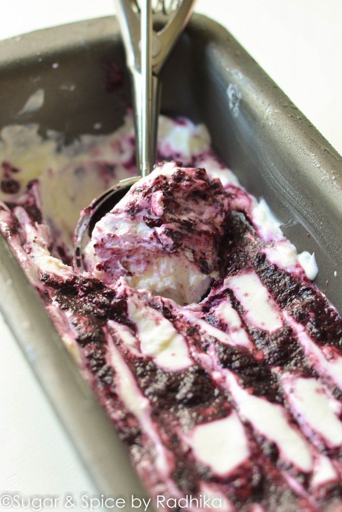 Vanilla Blueberry Frozen Yogurt