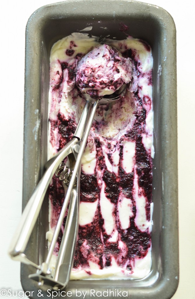 Vanilla Blueberry Frozen Yogurt
