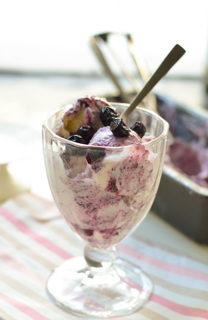 Vanilla Blueberry Frozen Yogurt