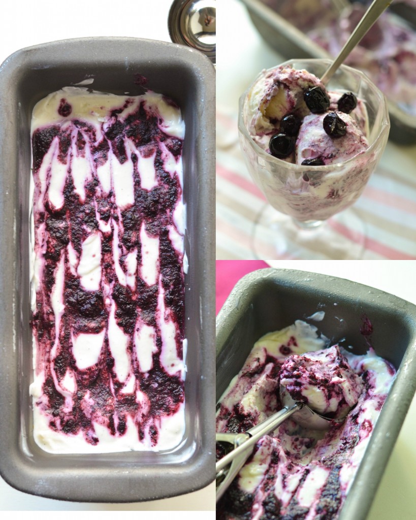 Vanilla Blueberry Frozen Yogurt