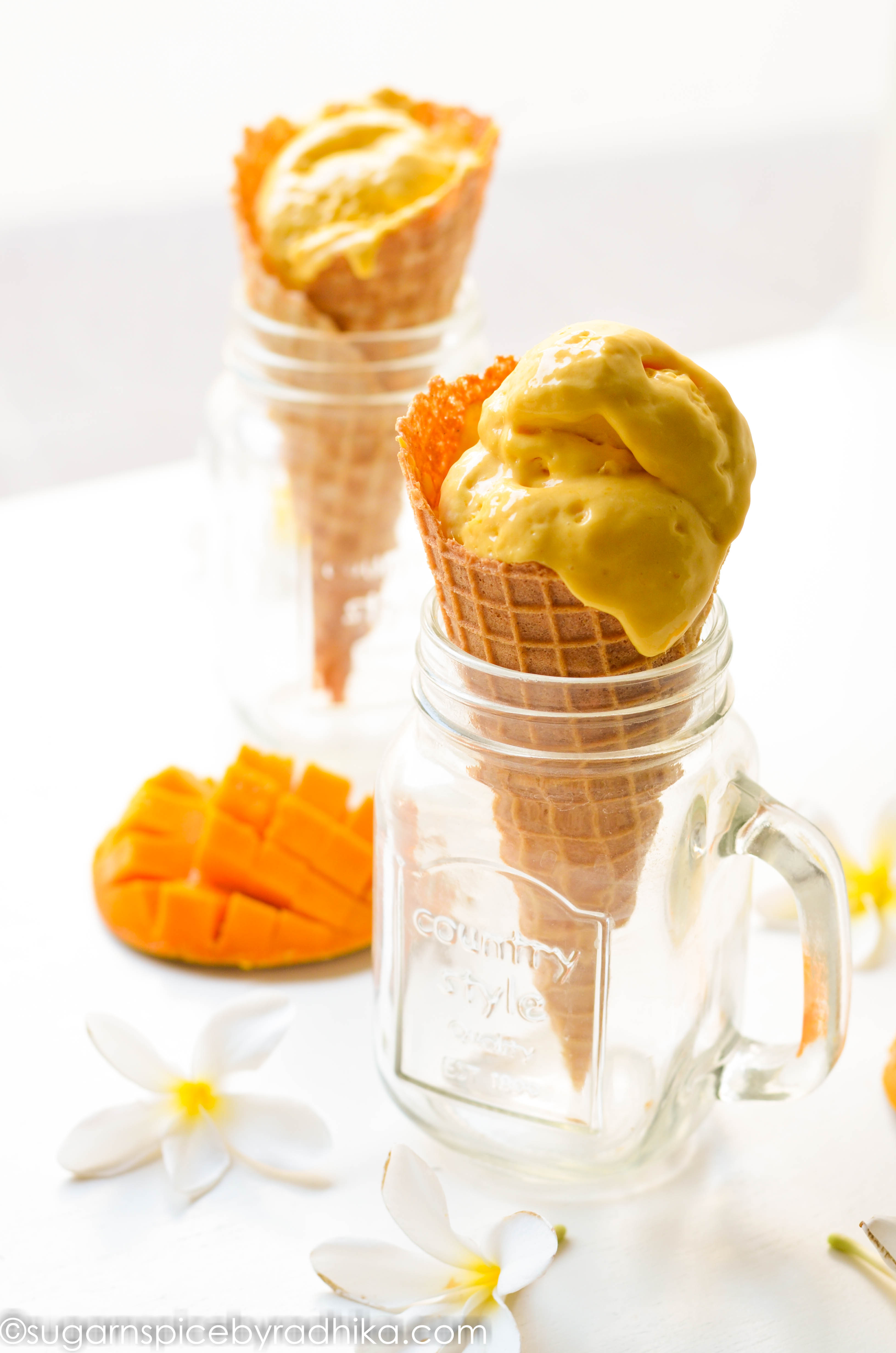 Homemade Mango IceCream