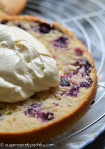 Lemon Blueberry Cake with Cream Cheese Frosting