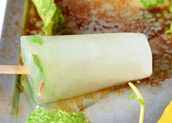 DIY Popsicles