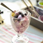 Vanilla Blueberry Frozen Yogurt