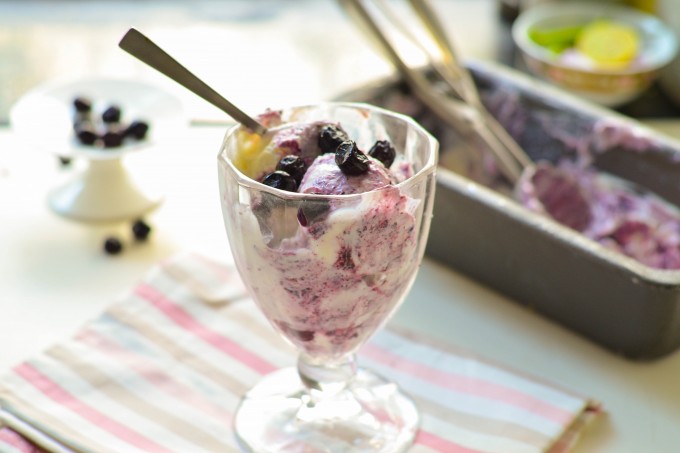 Vanilla Blueberry Frozen Yogurt